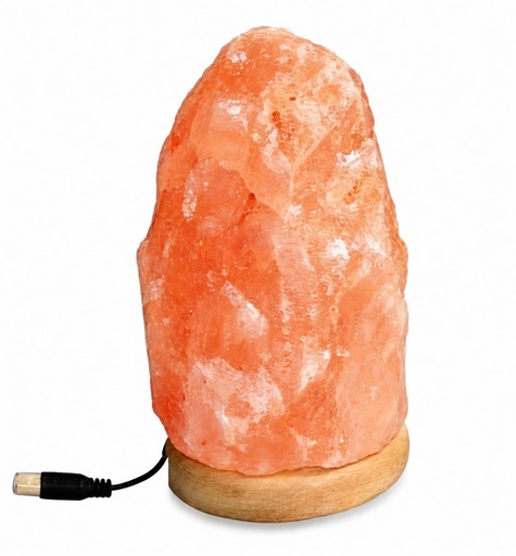 [1075015] LAMPARA DE SAL NATURALE USB 14